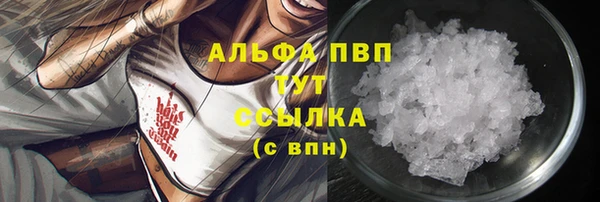 гидропоника Алзамай