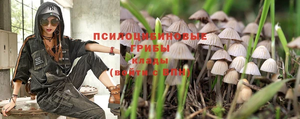герыч Алексин